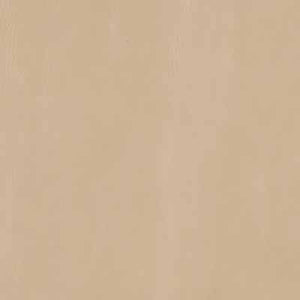 Desert Sand
