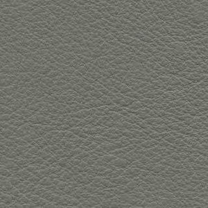 Attitude Gray