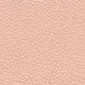 Cotton Candy