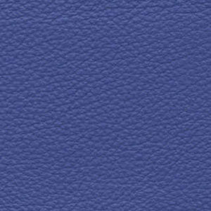 Periwinkle