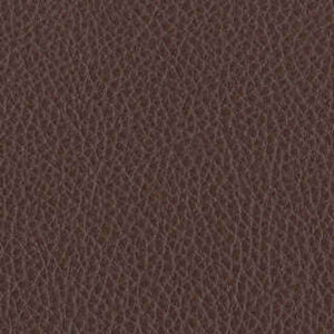 Suitable Brown