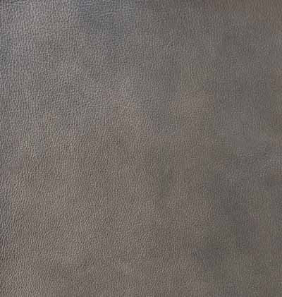 Ivy Dark Mocha