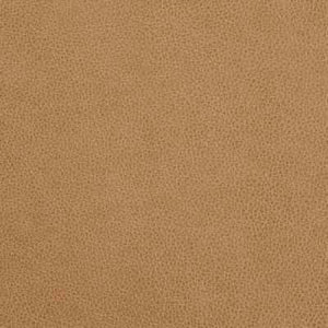 Camel Cream