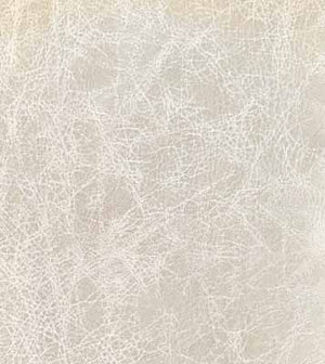 Vanilla Bean