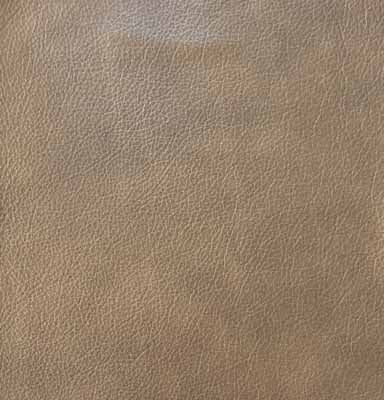 Kane Brush