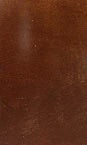 Chestnut