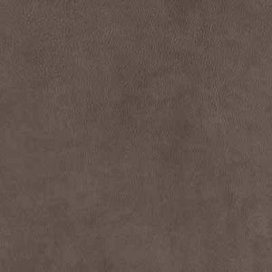 Swiss Brown
