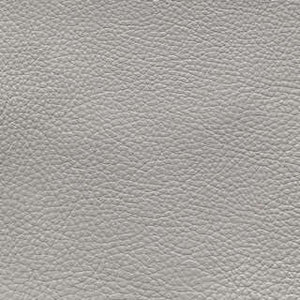 Modern Gray