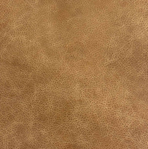 Creamy Brown