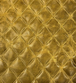 Foam