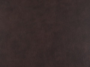Cigar