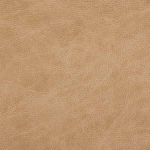 French Vanilla