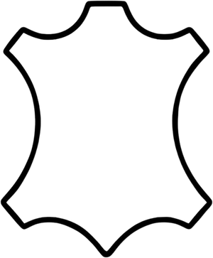 100+ leathers