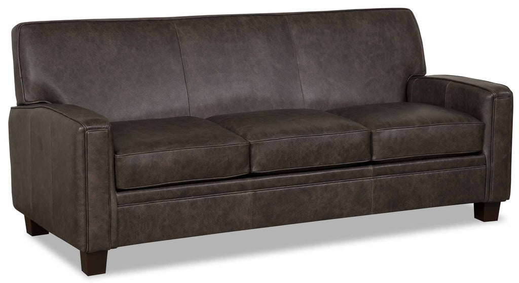 Vanderpump Leather Queen Size Sofa Sleeper