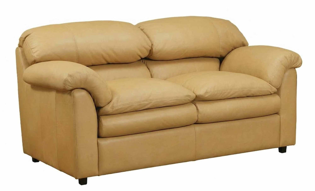 Phoenix Leather Loveseat