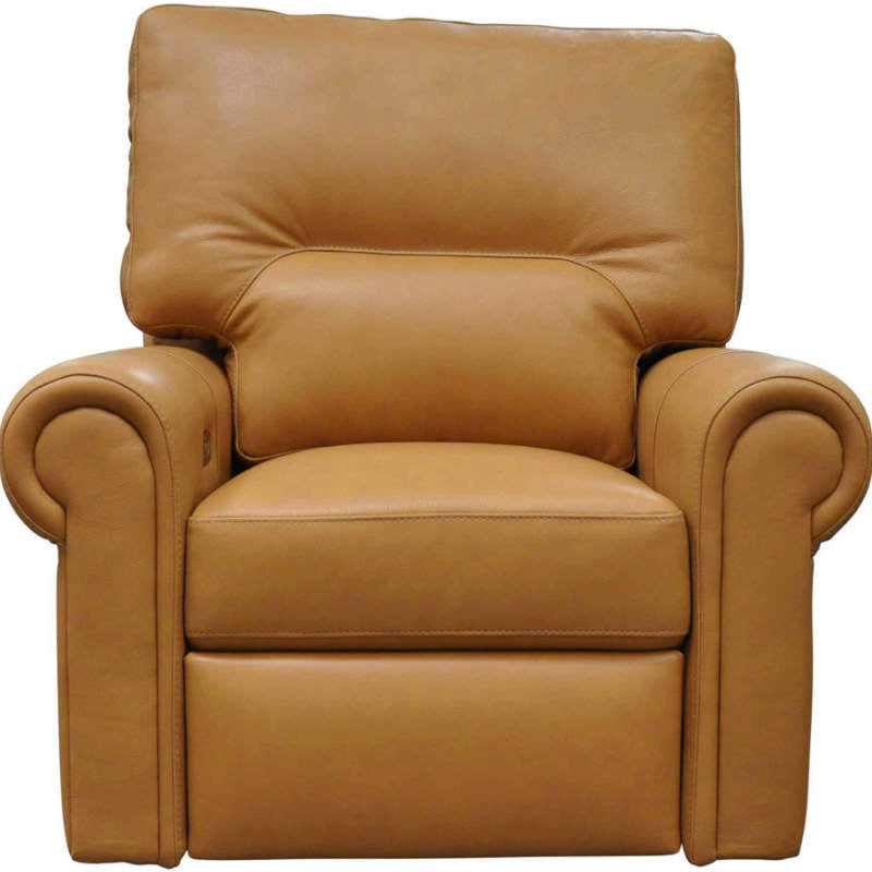 Riley Leather Power Lift Recliner - Wellington's Fine Leather Furniture