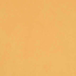 Butternut