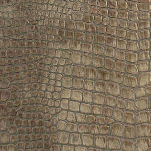Evening Croc
