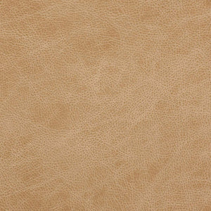 Jersey Cream