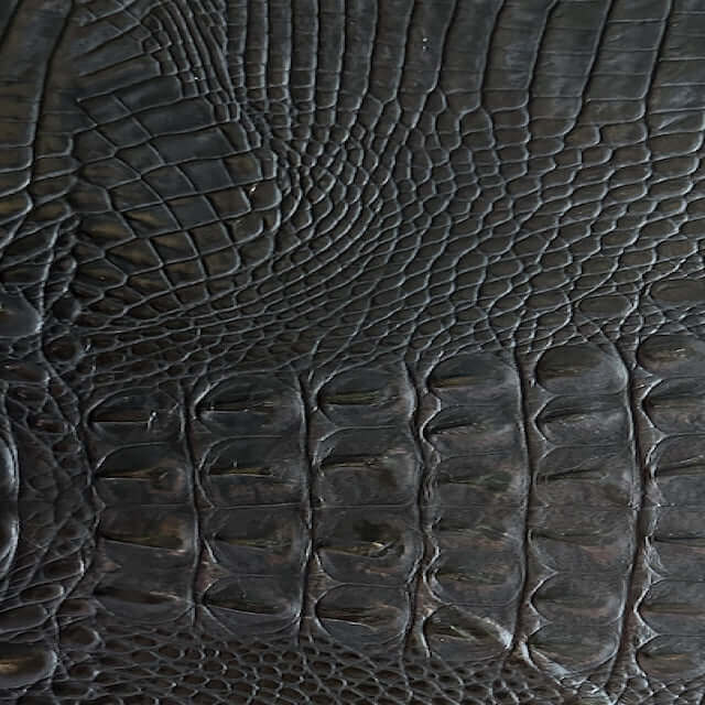 Crocodile Dark