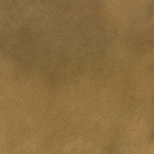 Caramel Cream