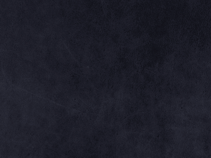 Admiral Blue