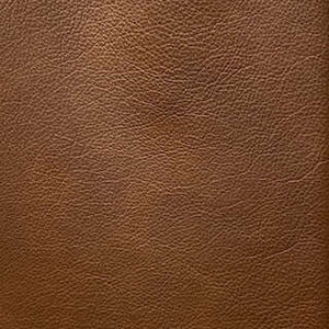 Casual Brown