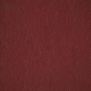 Cranberry