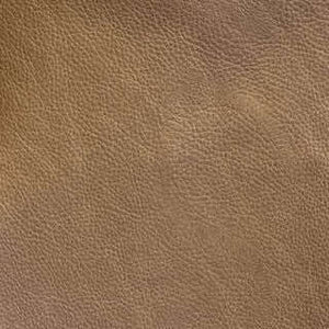 Desert