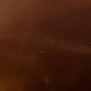 Cocoa Bites