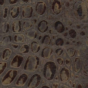 Croc
