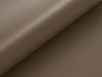 Sugar Cane